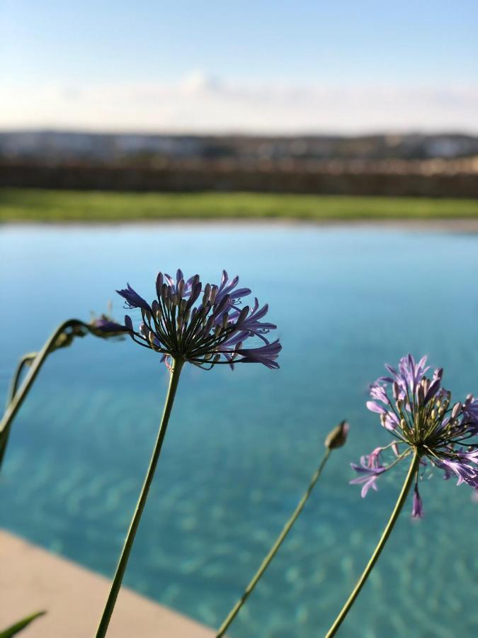 Sunset Oasis Vila L-Imgarr Exterior foto